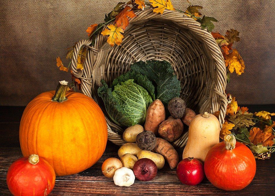 Jakie produkty warto włączyć do diety na jesień?