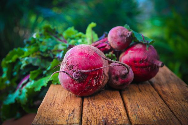 Zdrowa dieta na bazie kiszonych produktów - jak zacząć?